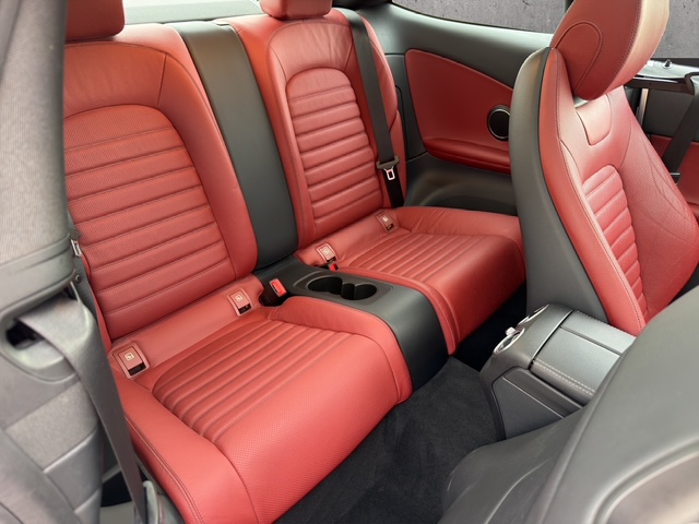 WDD2053401F386059_01_converted (20)